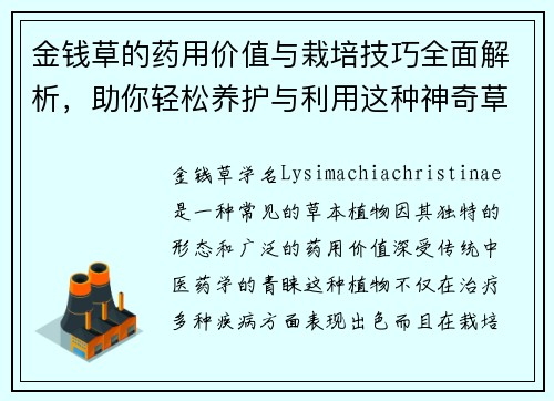 金钱草的药用价值与栽培技巧全面解析，助你轻松养护与利用这种神奇草本植物